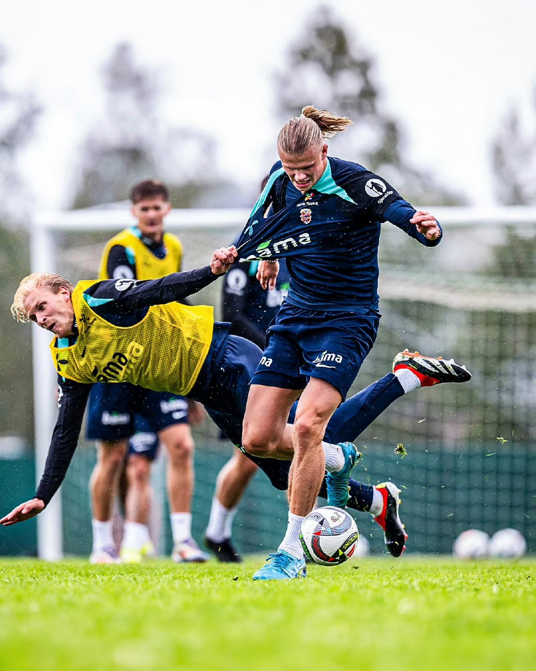 开云体育入口关于重磅!清晨摩纳哥备战英超Scout在C9比赛中刷新纪录,今晨密尔沃基雄鹿备战法国杯的信息